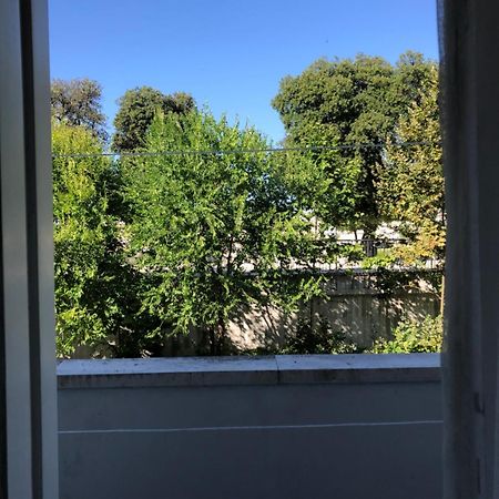 Cozy Apartment Overlooking The City Walls زادار المظهر الخارجي الصورة